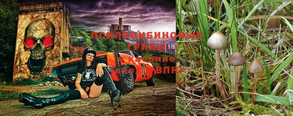 герыч Осташков