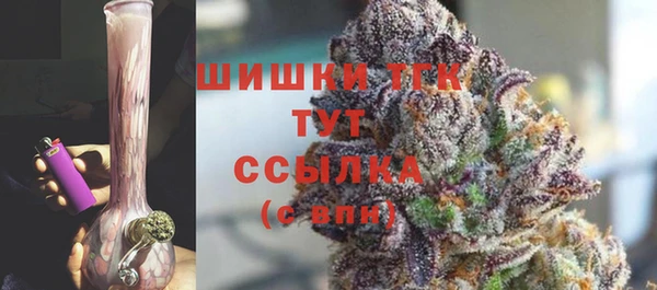 молекула духа Абинск