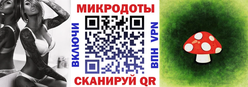 гидра ТОР  Отрадное  Псилоцибиновые грибы мицелий 